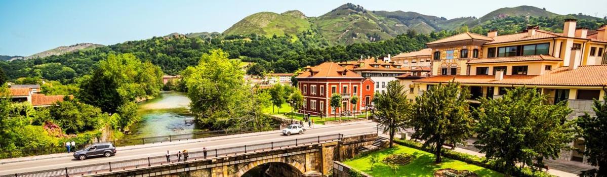 Apartamento Con Terraza Al Puente Romano Cangas de Onis Bagian luar foto